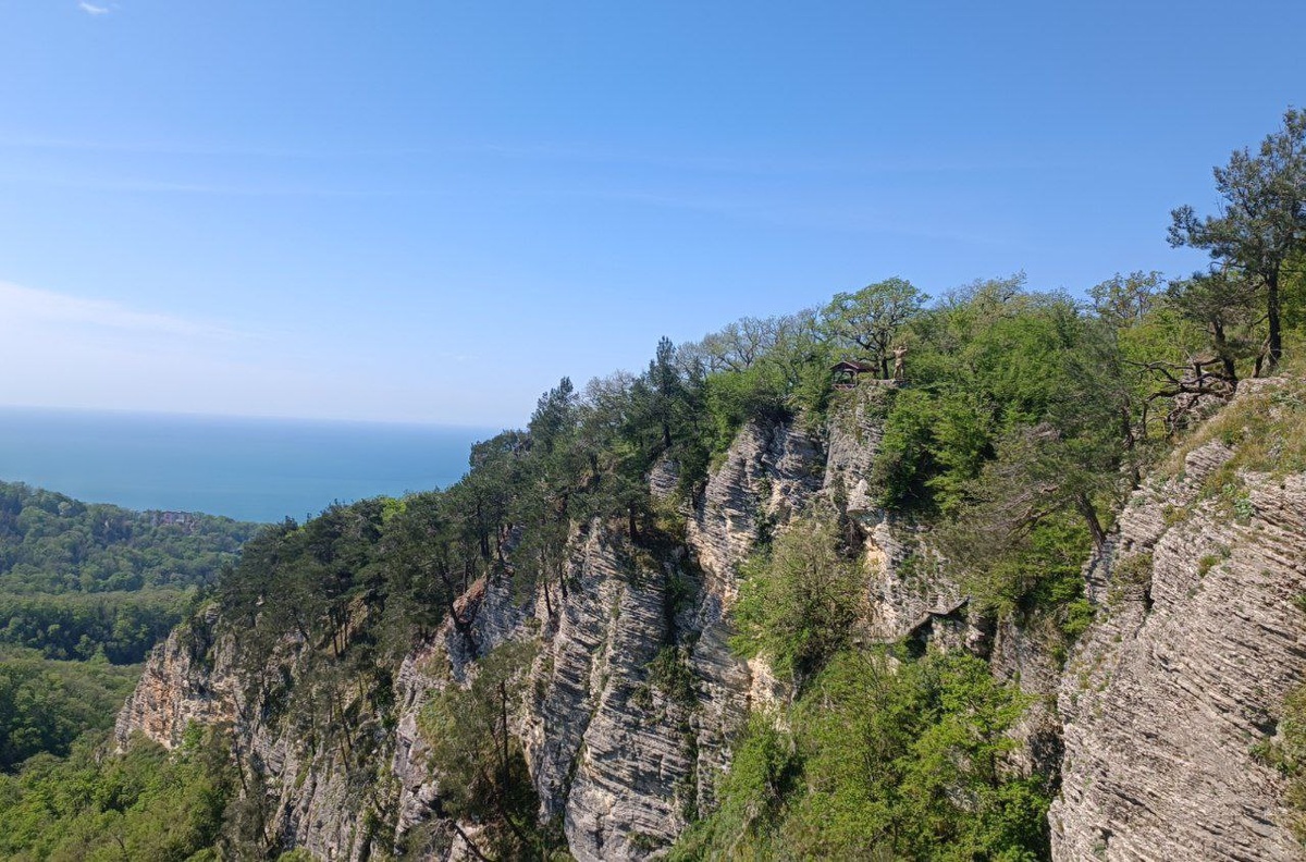    Фото: пресс-служба Сочинского нацпарка