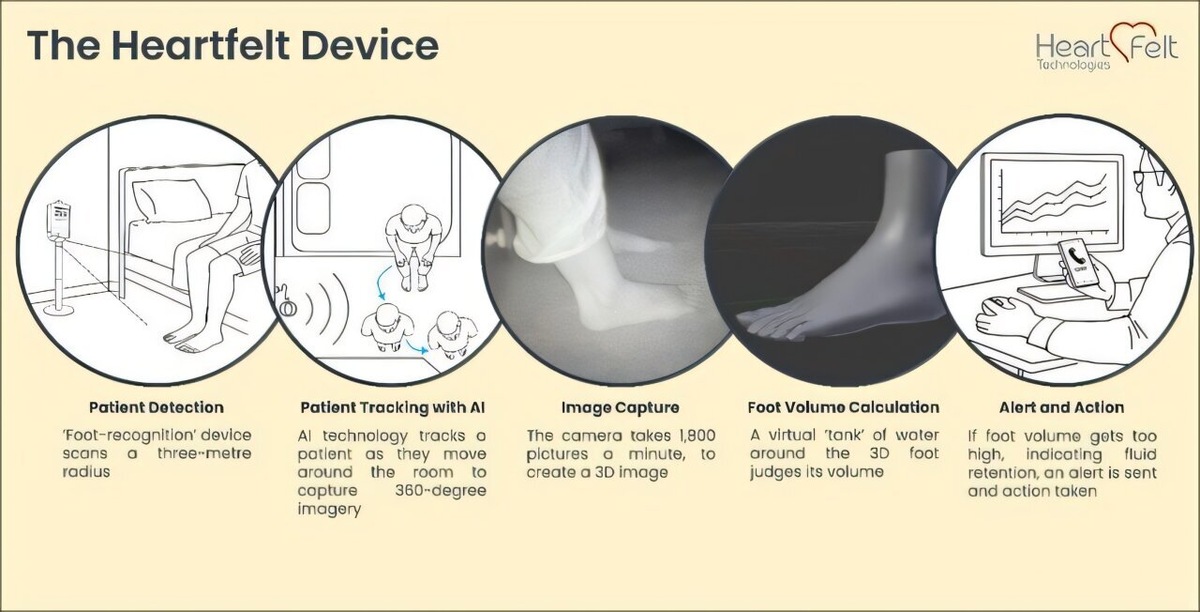    British Heart Foundation