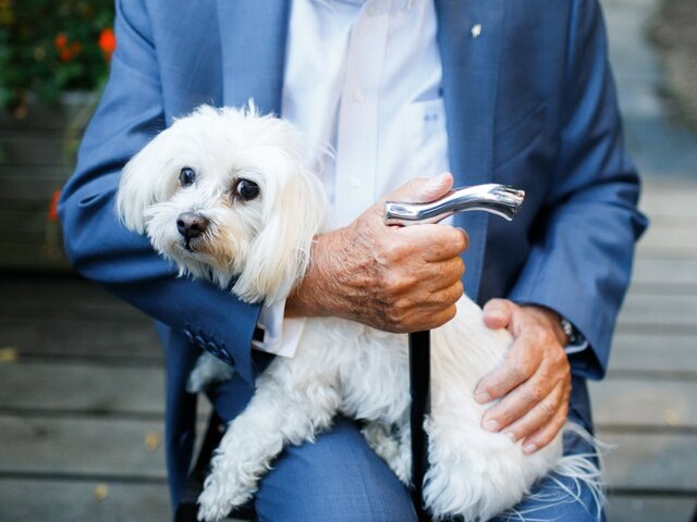    Фото: 123RF/tsezarina