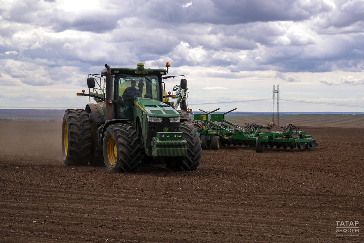 Фото: © Салават Камалетдинов / «Татар-информ»