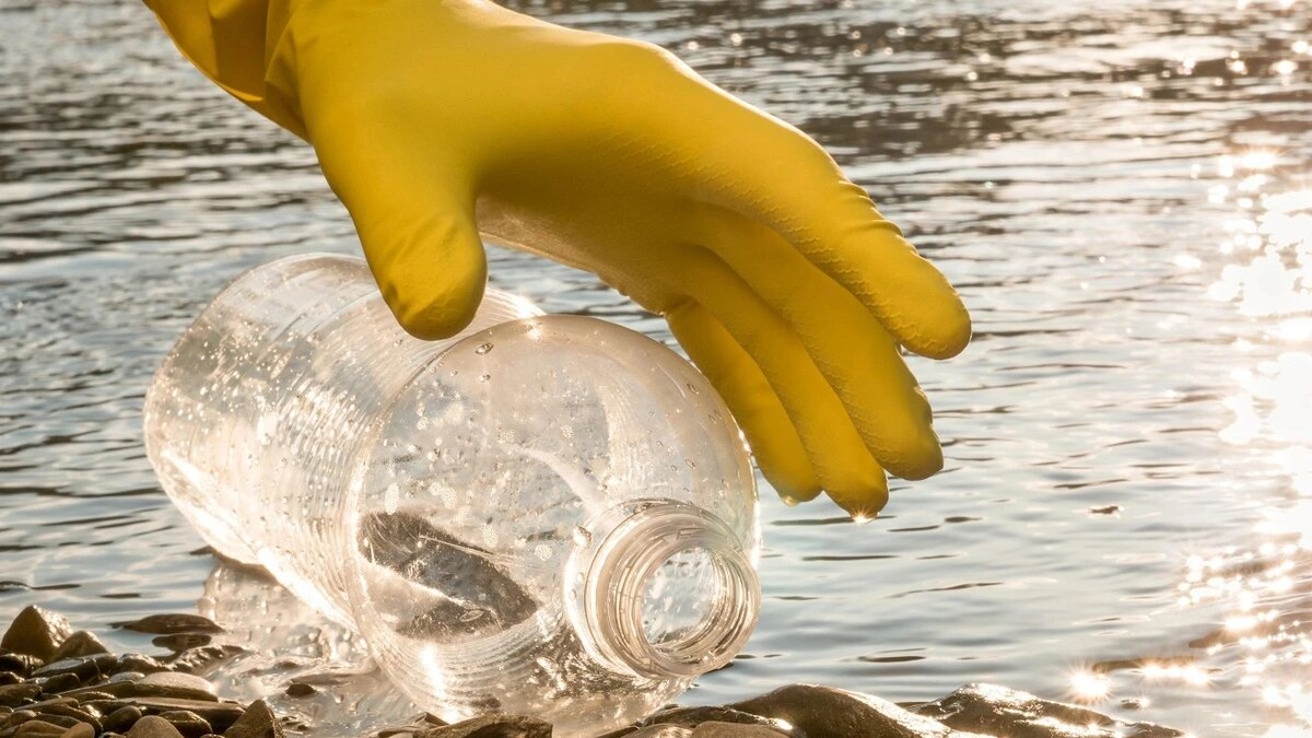    Фото: Oleksii Synelnykov / Shutterstock / Fotodom