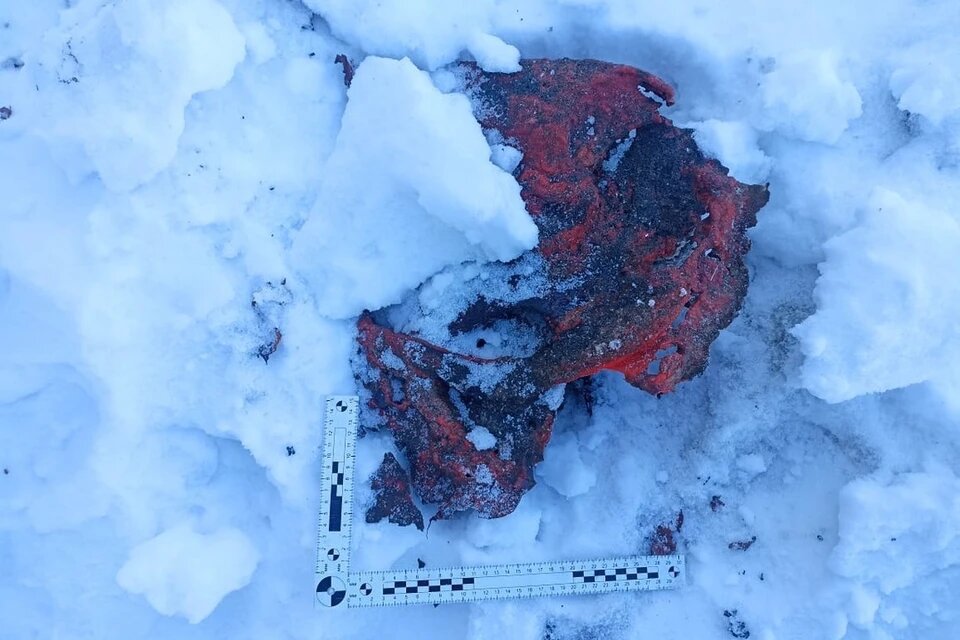 Сгоревший таз. Фото: СК по Алтайскому краю