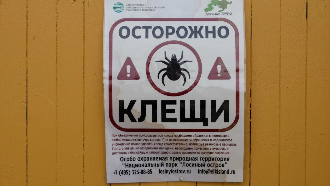    Фото: Shatokhina Natalia /Globallookpress