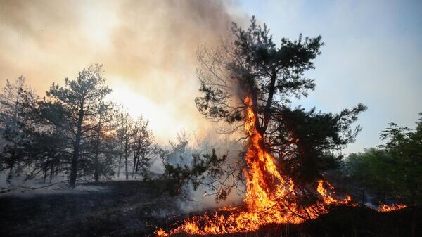    © Sputnik / Кирилл Брага