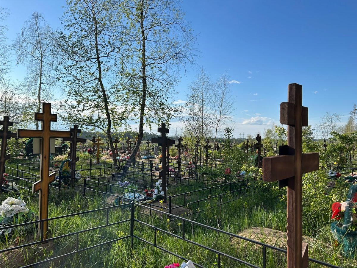    архив samaraonline24