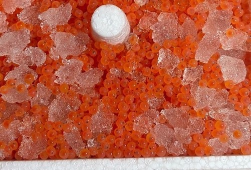 Фото: Россельхознадзор по Орловской и Курской областям