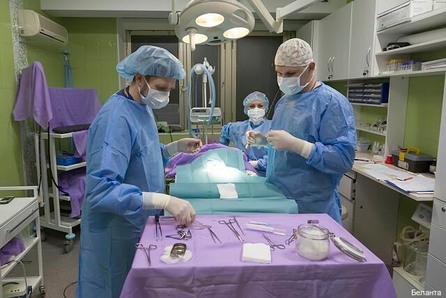 Фото из ветеринарной клиники "Беланта", г. Москва. Фото для того, чтобы показать примерное обустройство хирургии в большинстве клиник.