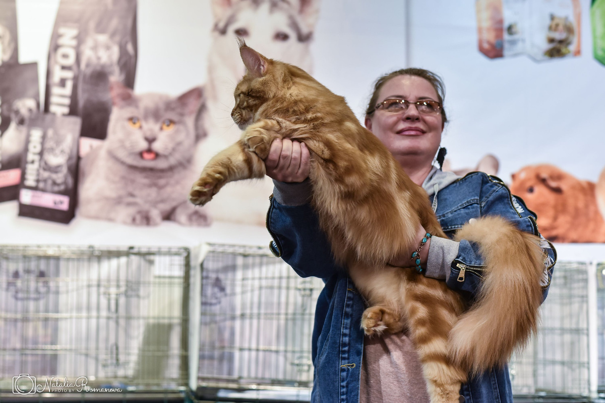 Я и наш юниор Усама (Выставка 2025)