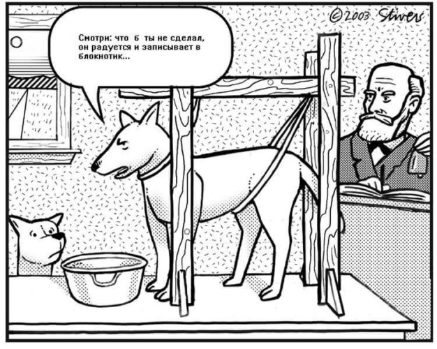 Изображение с просторов интернета