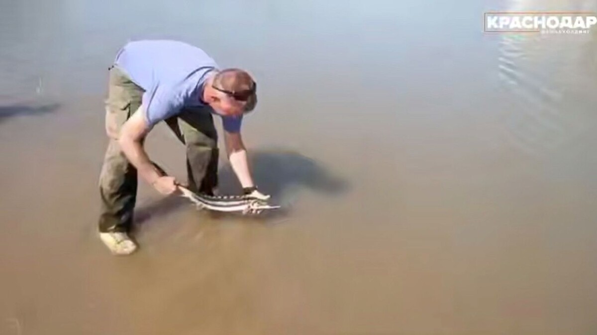    Фото: минприроды Краснодарского края