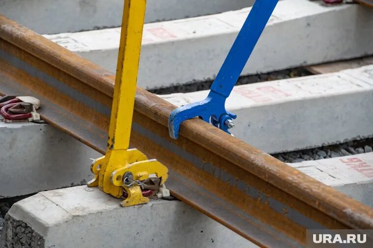 Сначала будет построена узкоколейная железная дорога, а затем — учебно-экспозиционный центр. Фото: Сергей Русанов © URA.RU