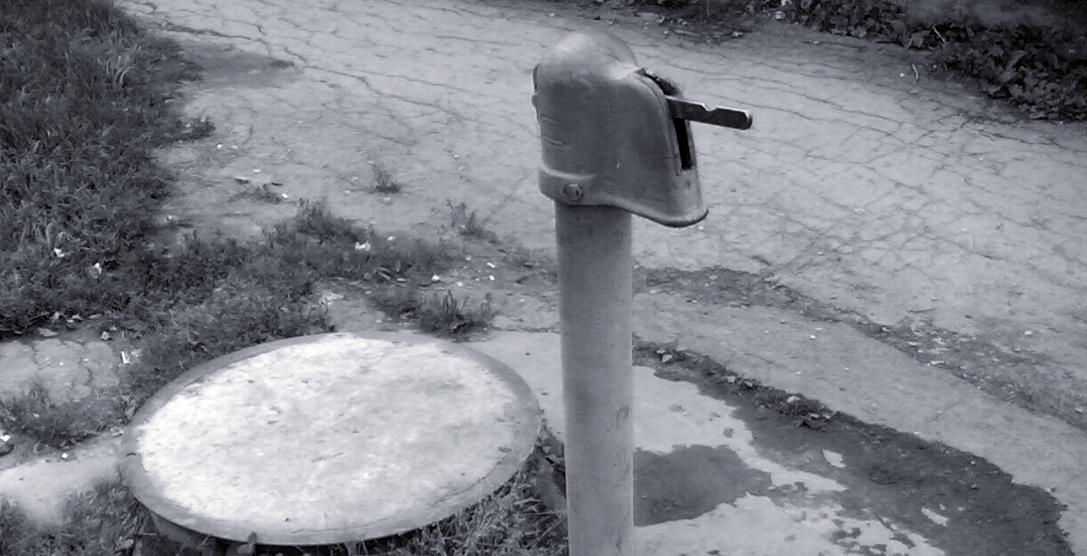 Фрагмент фтографии пользователя "SweD"