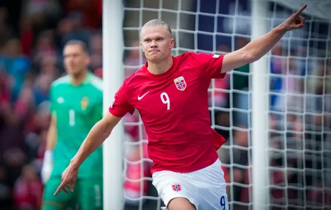 Эрлинг Холланд.