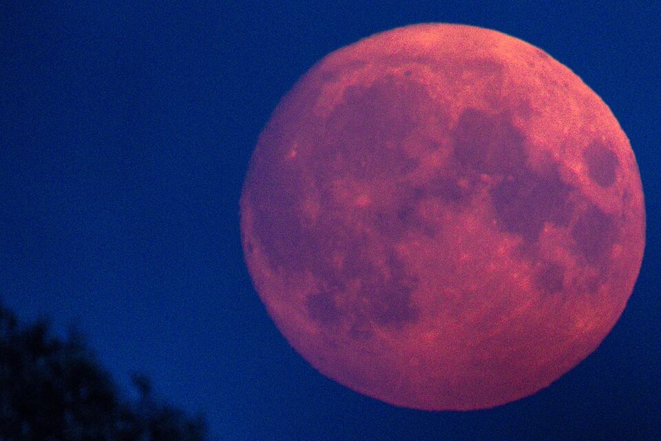    Фото: GLOBAL LOOK PRESS Веселовские вести