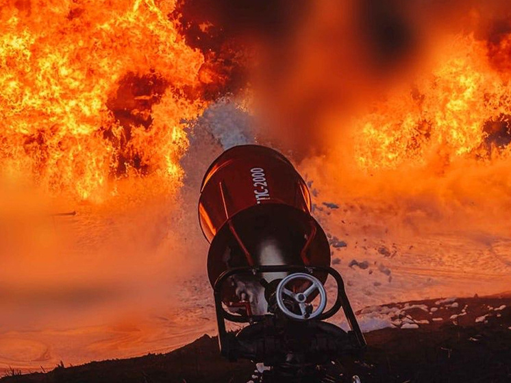 Фото: Соцсети
