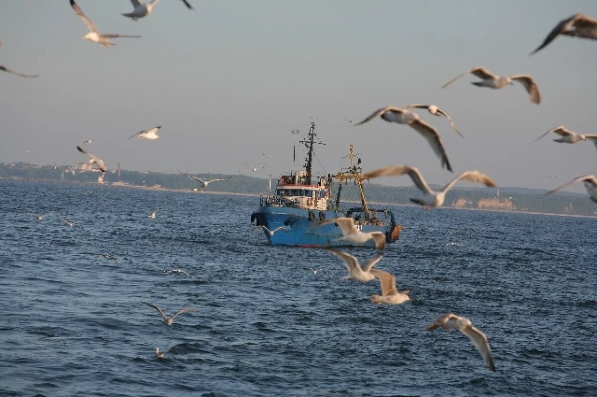    На пять рыболовных участков на Камчатке вновь не нашлось покупателей