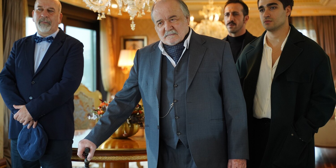 Влиятельные семьи из турецких сериалов