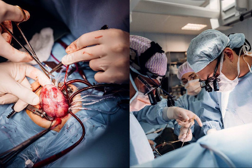    Фото: Центр Мешалкина