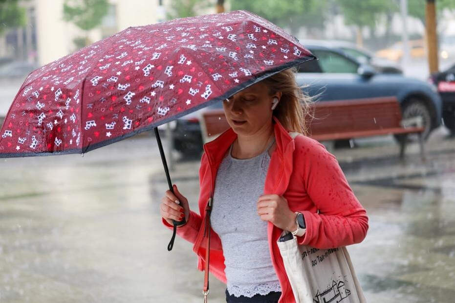    Алексей Белкин/NEWS.ru