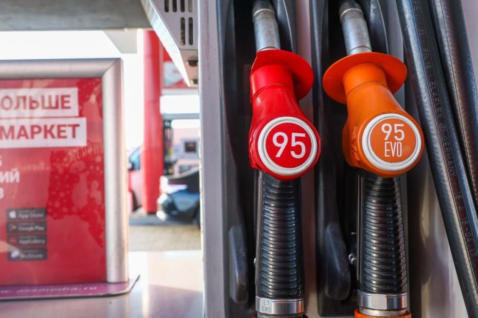    Наталья Шатохина/NEWS.ru