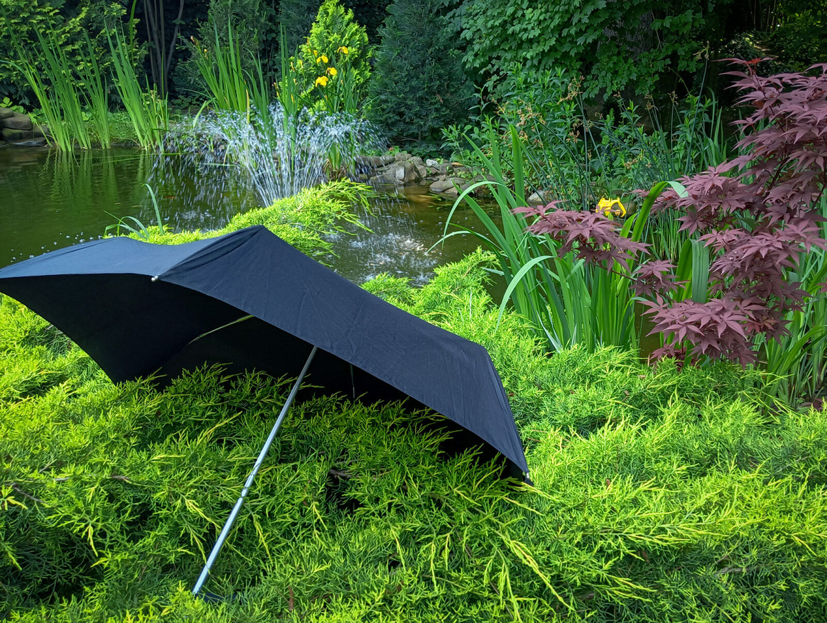 Правда он красавец?