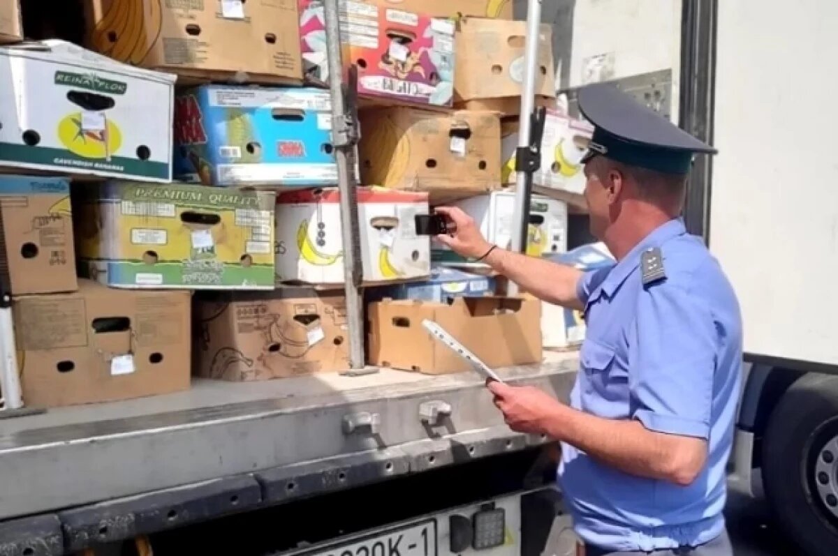    Россельхознадзор не выпустил с территории Брянщины 18 тонн огурцов