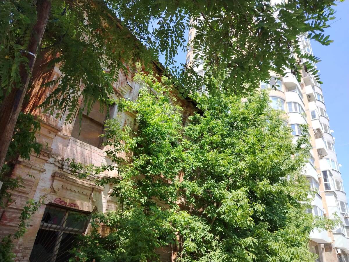 Фото автора