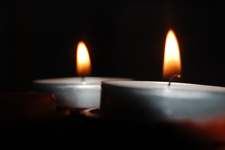    Фото: pixabay.com/Myhair14 Камилла Булгакова