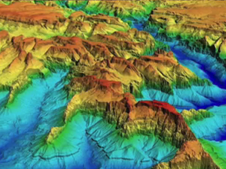 Фото: Кадр из видео
