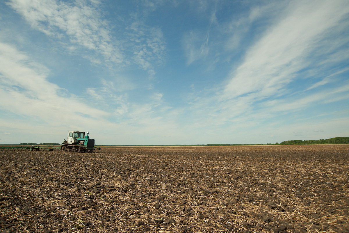    Фото: Лидия Аникина