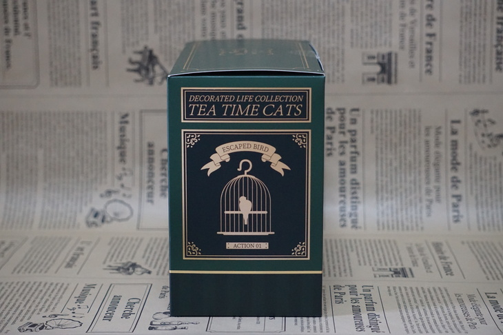 Коробка и блистер