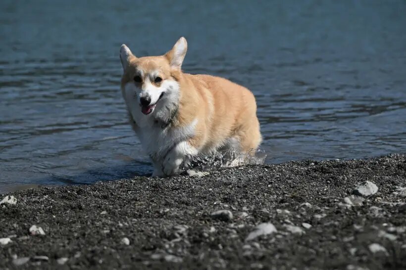     © РИА Новости. Екатерина Лызлова