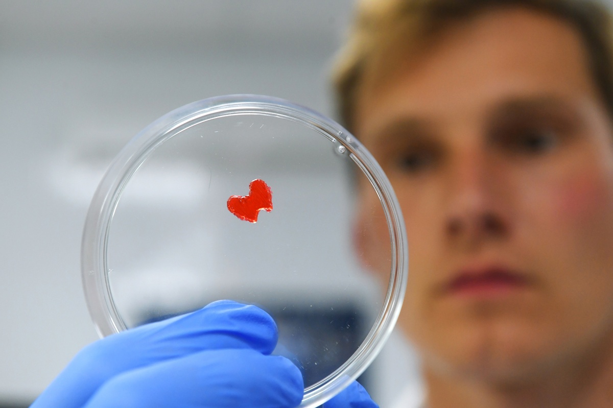 Кирилл Каллиников / РИА «Новости»