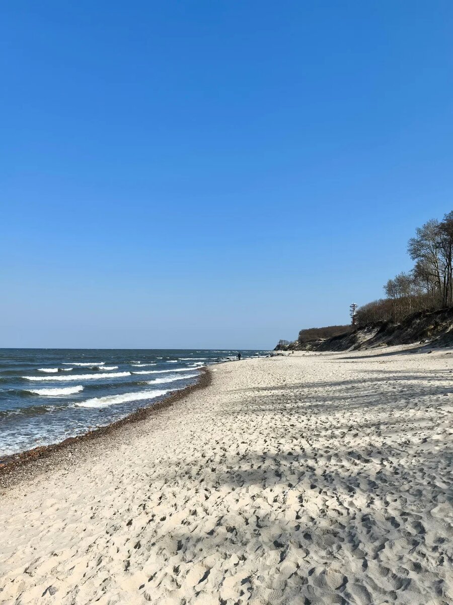 Дикий пляж в посёлке Заостровье расположен в 20 минутах пешком или 10 минутах на велосипеде от апартаментов