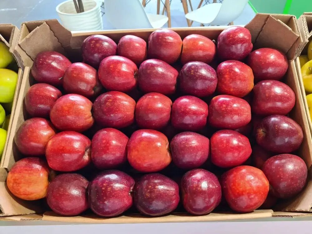     © "Интерфакс". Наталья Голянова