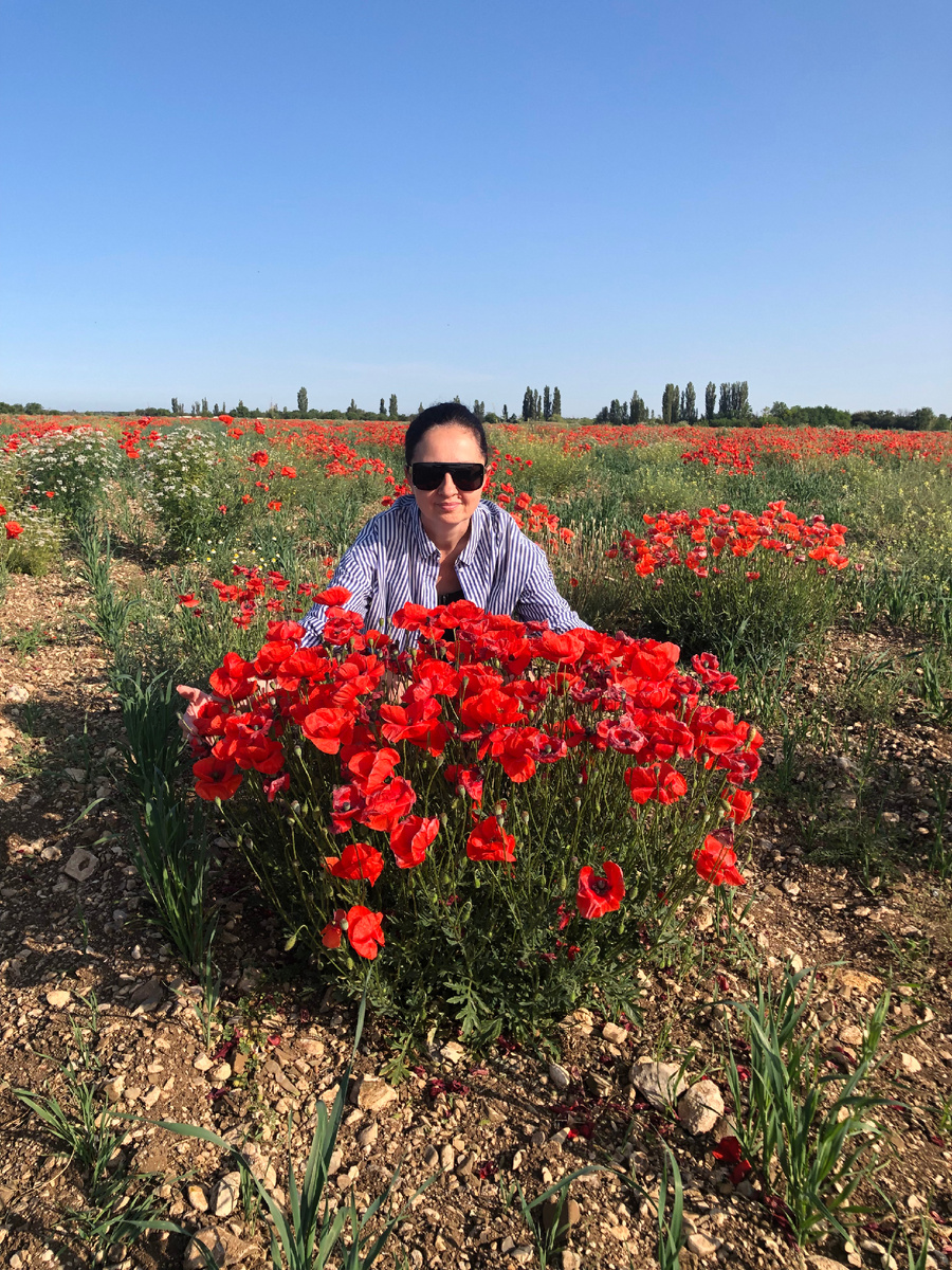 По дороге в Николаевку 