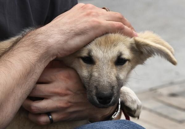    РИА «Новости»
