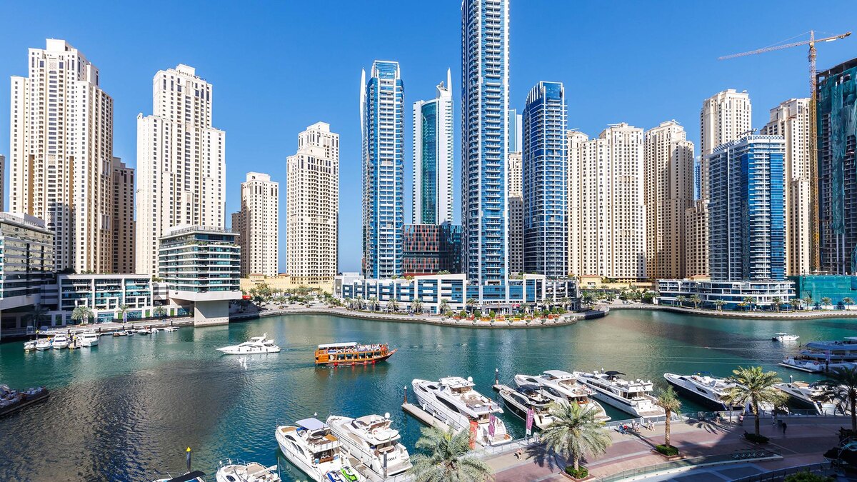 Фото: IMAGO/Markus Mainka/globallookpress.com