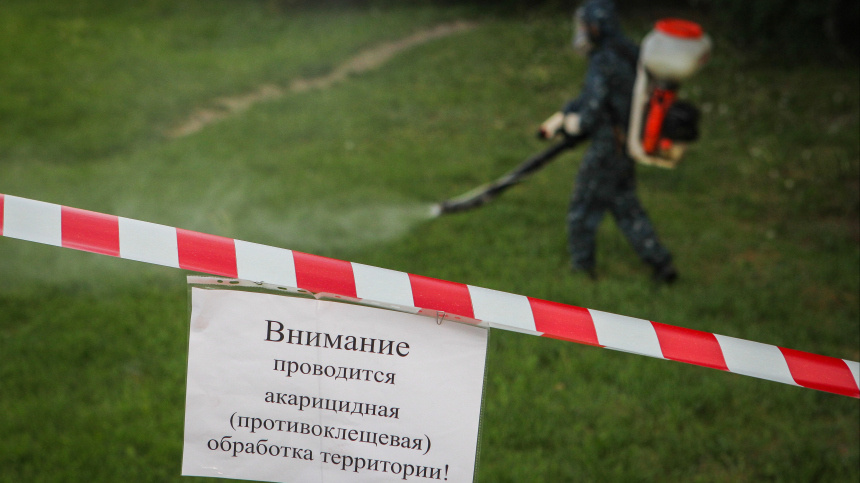    Фото: © РИА Новости/ Денис Абрамов; 5-tv.ru