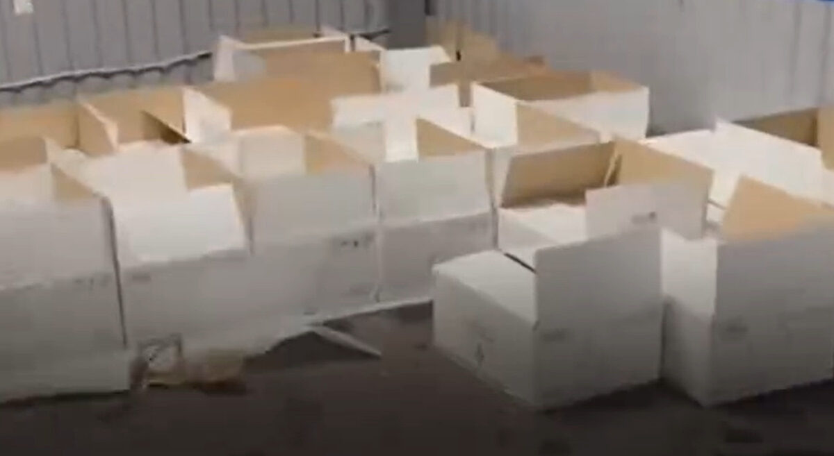    Фото t.me/customs_rf