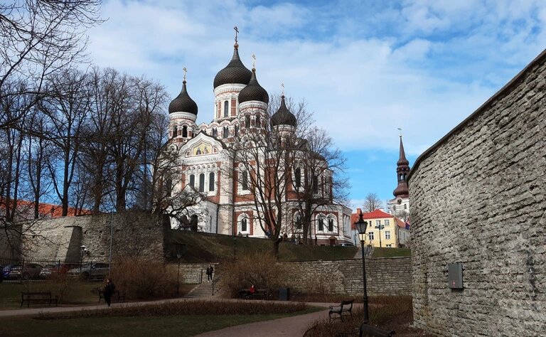 Фото: Andreia Veiga / Shutterstock