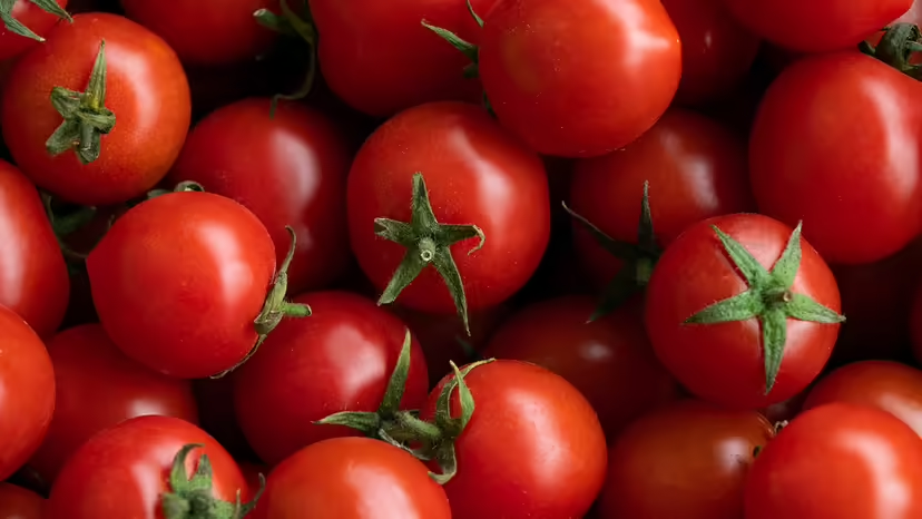 Вкусно для людей, но не для кошек? Необязательно. Александр Зубков / Getty Images