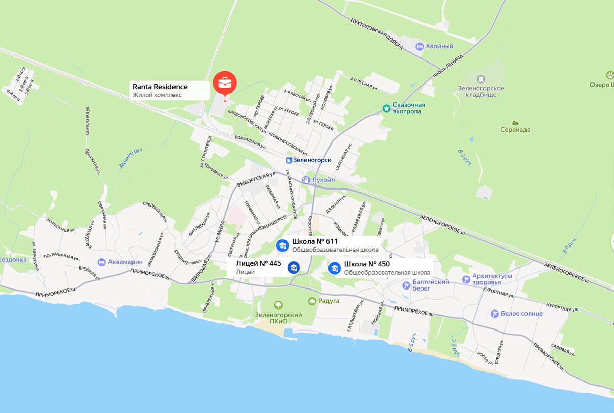 Сейчас все школы и детские сады Зеленогорска сосредоточены в центральной части города. Это удобно не для всех жителей. Фото: Яндекс карты. 