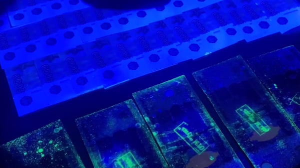    © Пресс-служба УФСБ России по Республике Крым и городу Севастополю