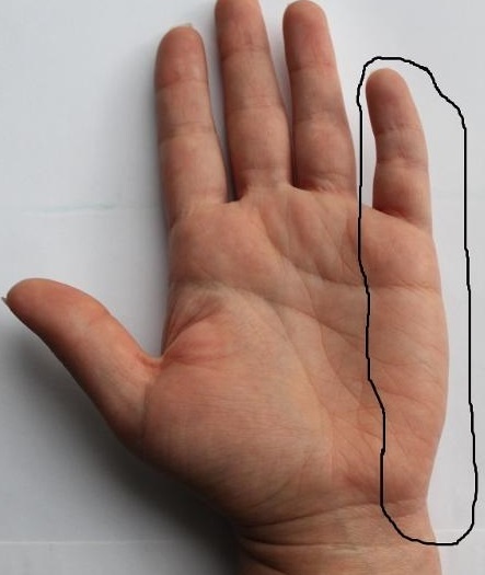 фото из свободных источников.