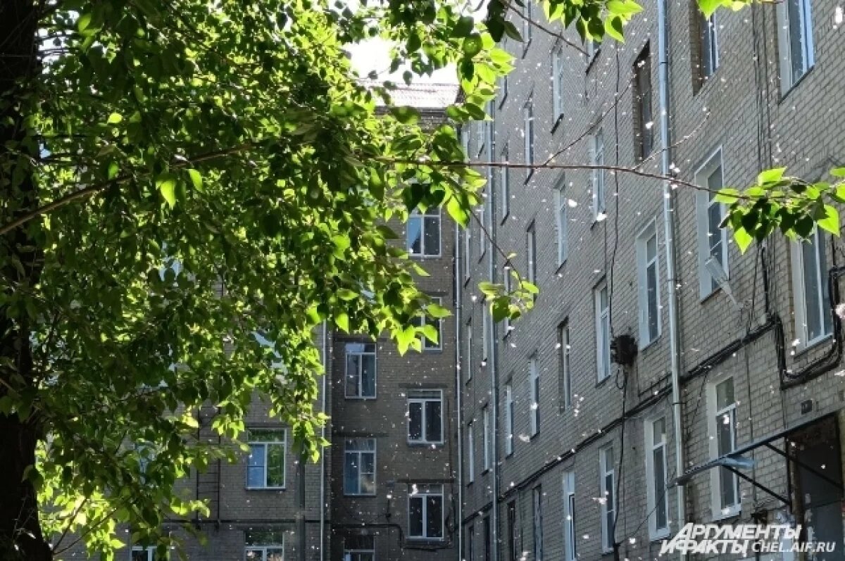    В Тюмени зафиксирован первый пожар из-за тополиного пуха