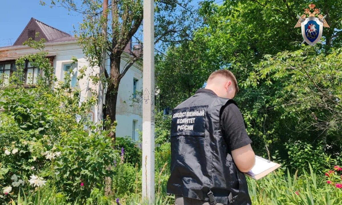    Фото t.me/kubansledcom