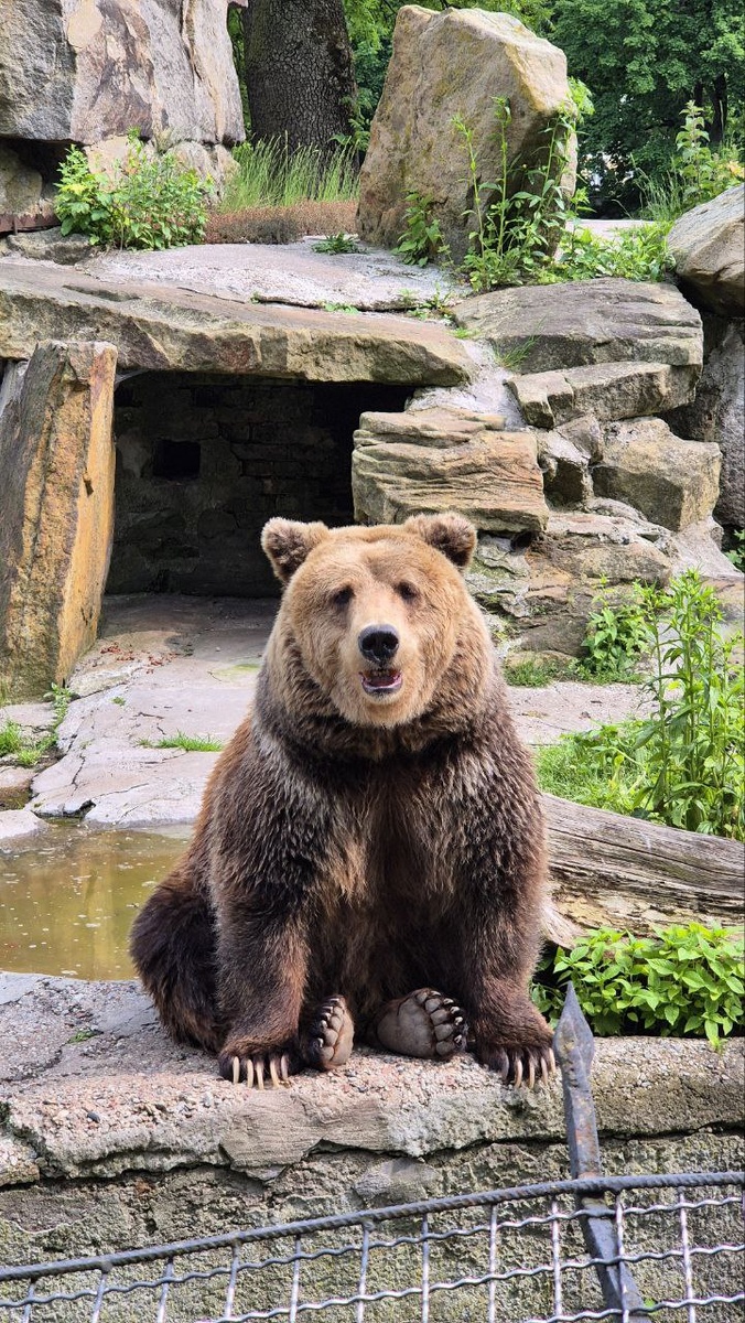 Очень серьезный