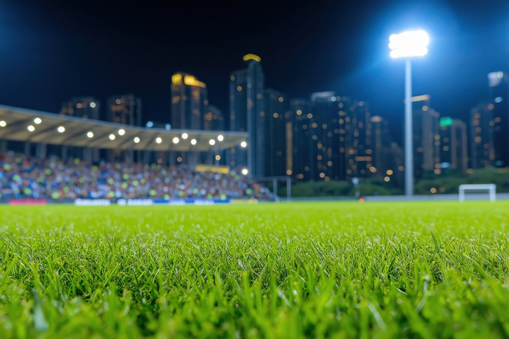 Фото: Анна Башкирова/Создано ИИ/ТАСС