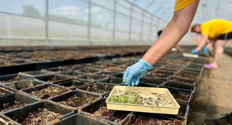    Министерство сельского хозяйства и продовольствия Московской области